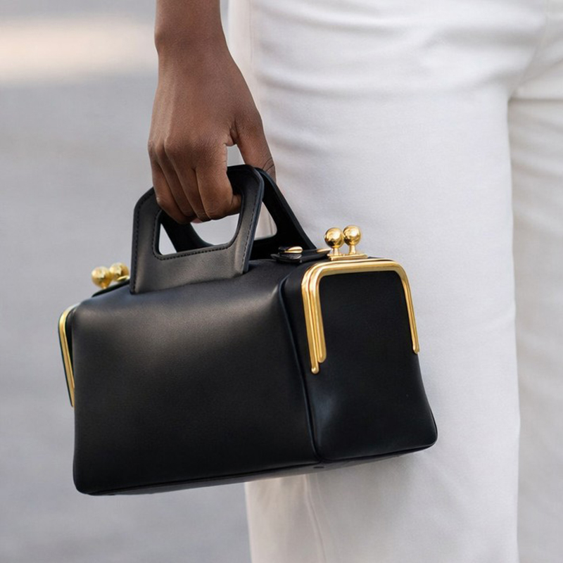 حقيبة يد نسائية فاخرة جديدة بت - مراجعة Luxury Bags Without Logo وسعره