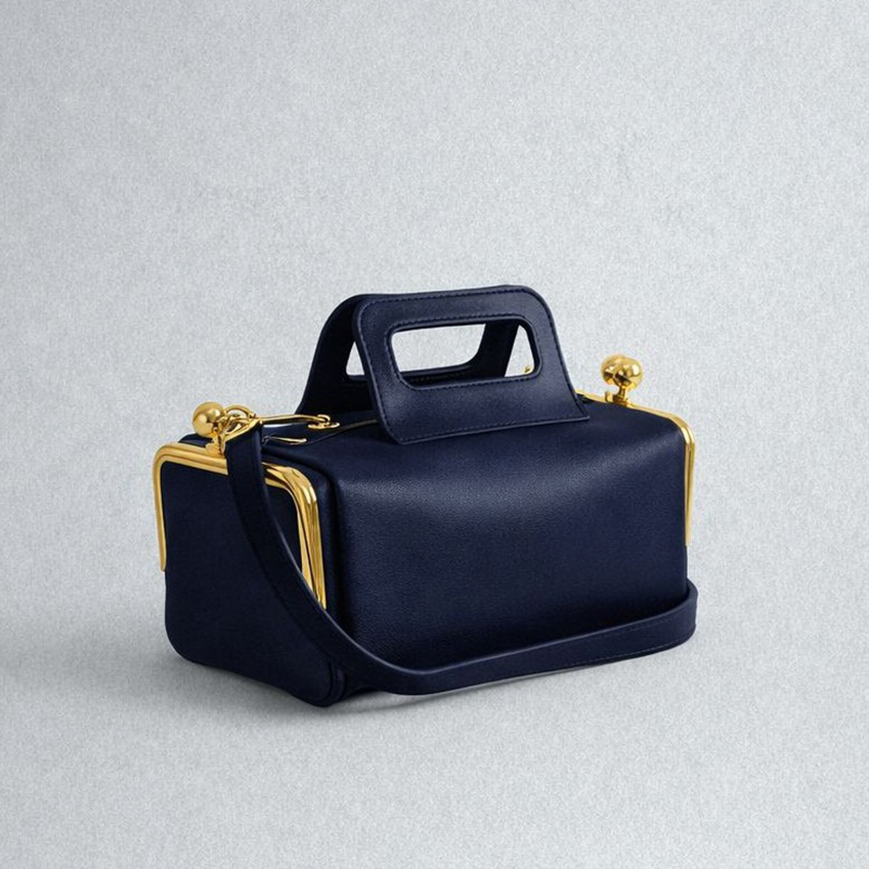 حقيبة يد نسائية فاخرة جديدة بت - مراجعة Luxury Bags Without Logo وسعره